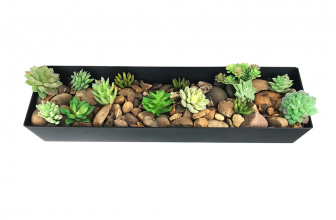 Raised Garden Bed & Raised Flower Beds
